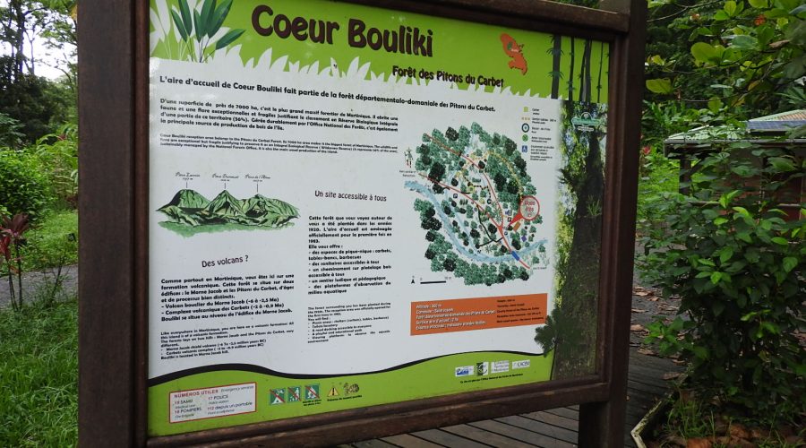 COEUR BOULIKI BY OTC OCT 2018 (6)