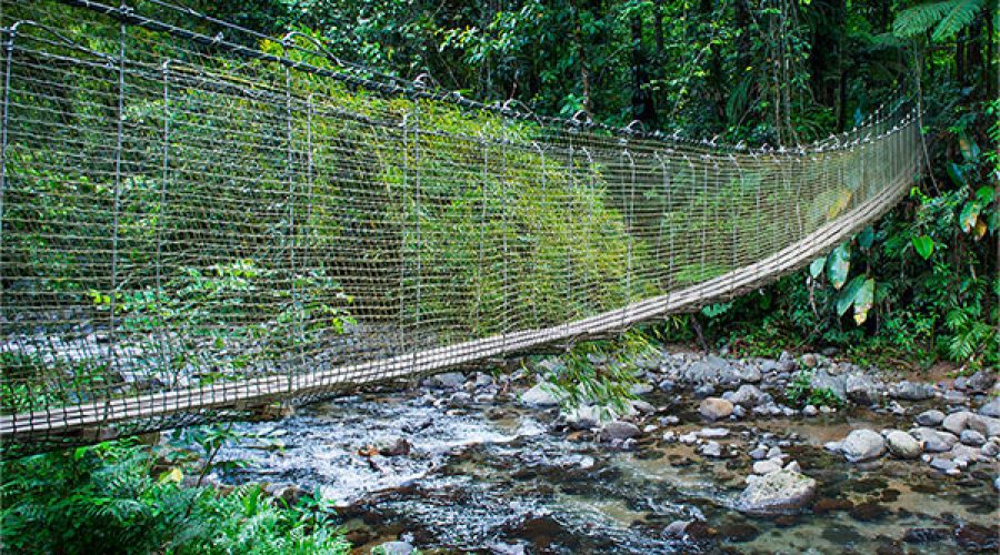 COEUR-BOULIKI-PONT-SUSPENDU