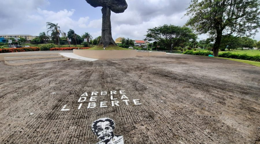 NEG MAWON - ARBRE DE LA LIBERTE AOUT 2021 (4)